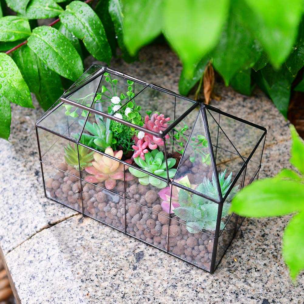YIMORENCE V glass greenhouse for succulents, ferns, and moss, creating a lush desktop oasis.