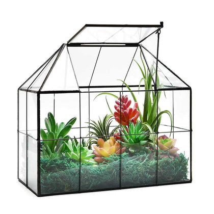 YIMORENCE V house-shaped terrarium with lid for stylish succulent arrangements and mini garden displays.