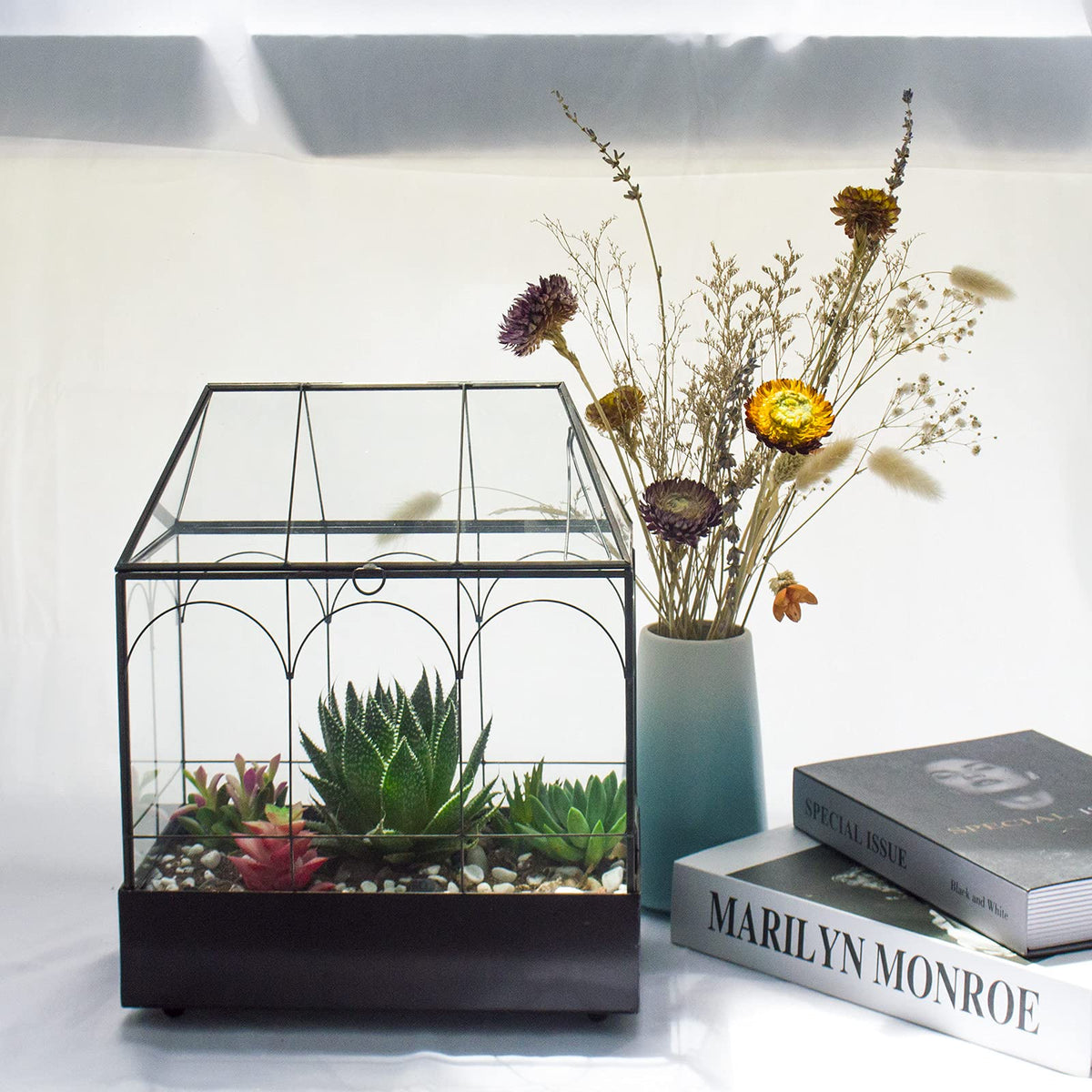 YIMORENCE V ideal for indoor desks and shelves