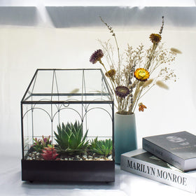 YIMORENCE V ideal for indoor desks and shelves