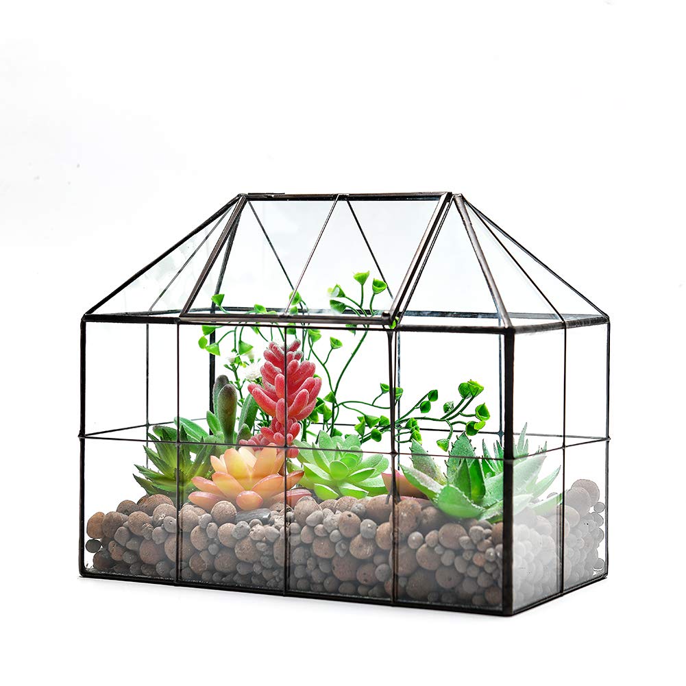 YIMORENCE V large terrarium ideal for office desk decor and small indoor gardens.