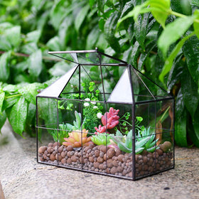 YIMORENCE V swing-lid terrarium highlighting easy access for daily care and rearranging tiny plants.