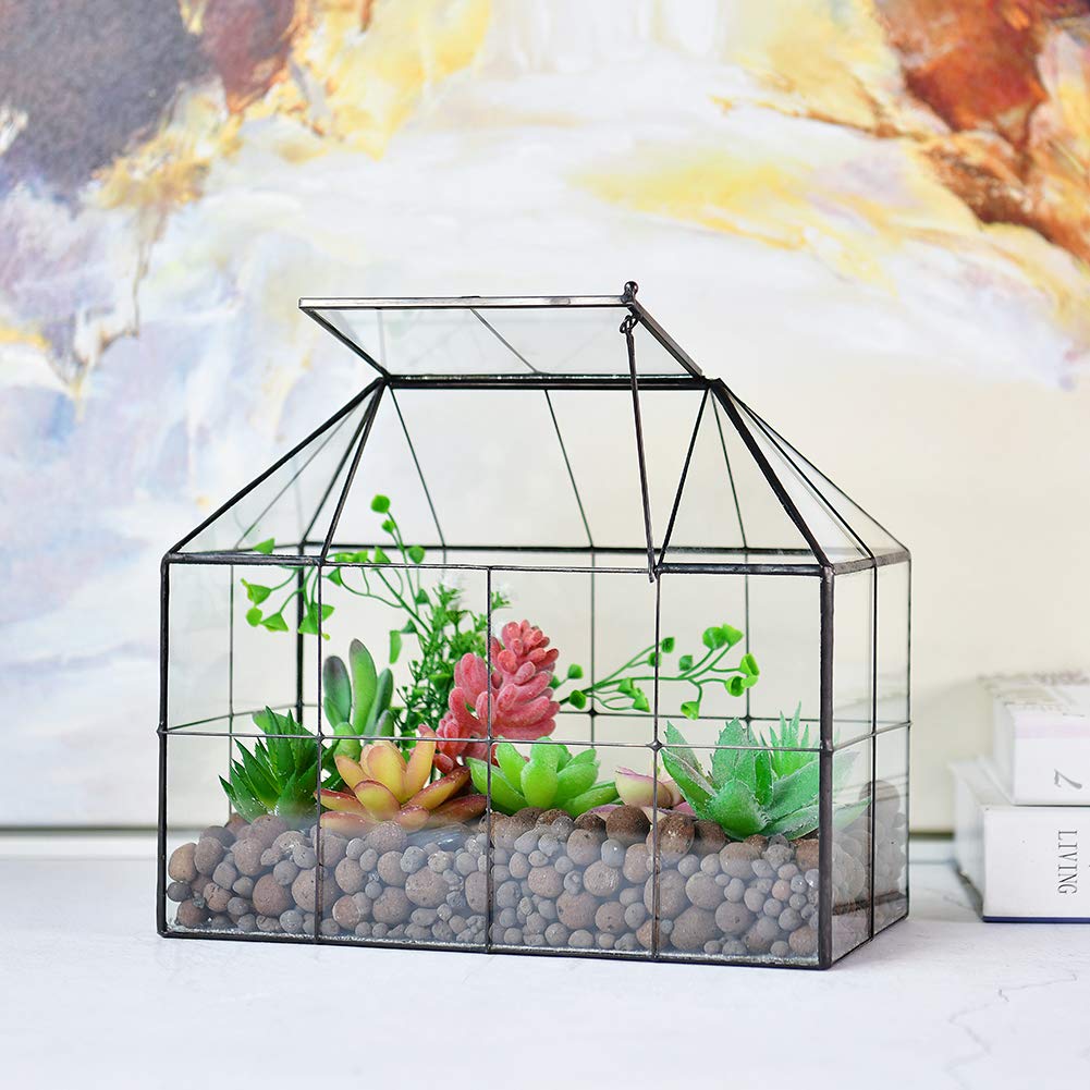 YIMORENCE V reinforced glass terrarium emphasizes durability and clear visibility for display-ready arrangements.