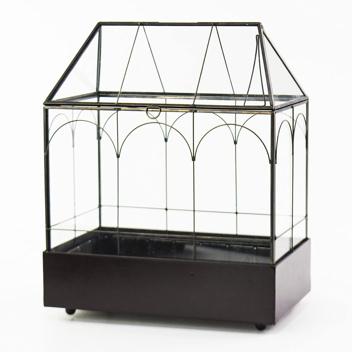 YIMORENCE V supports orchids, succulents, moss and ferns