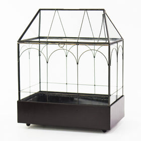 YIMORENCE V supports orchids, succulents, moss and ferns