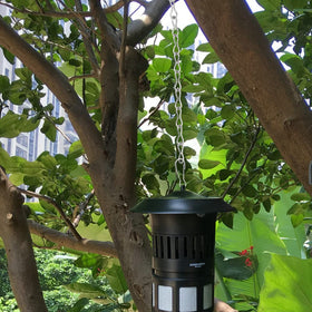 YINGFENG adjustable-length hanging chain demonstrates versatile heights.