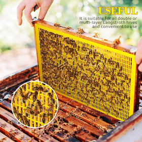 Yinkin hive accessory to separate the queen during inspections