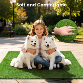 Yinoos low-maintenance pet lawn saves time on upkeep and mowing
