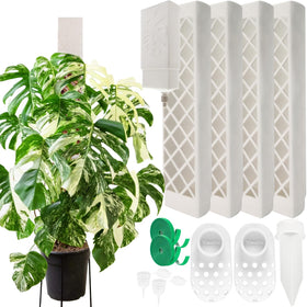 Yioviru 4-pack D-shaped moss poles support vertical growth for Monstera and climbers.