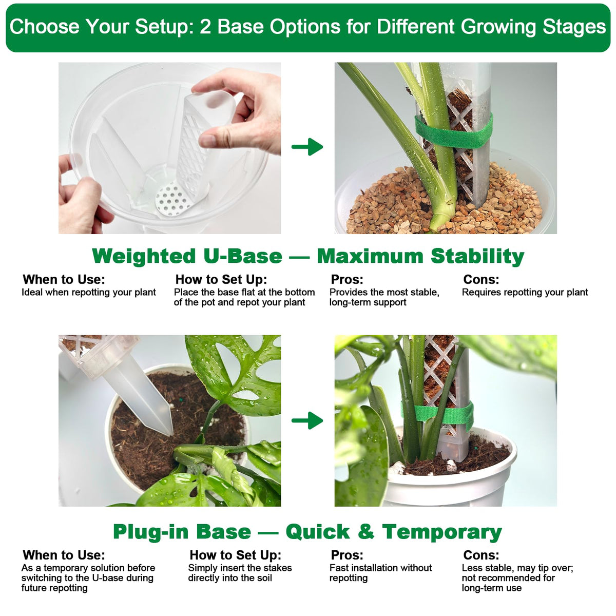 Yioviru fertilizer container enables slow-release feeding to aerial roots.