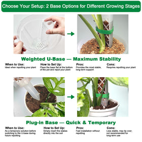 Yioviru fertilizer container enables slow-release feeding to aerial roots.