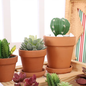 Yishang 30pcs clay plant trays bundle, ideal for pot overflow and organized setup.