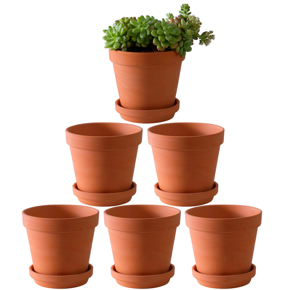 Yishang 6-inch terracotta pot with saucer for indoor plants and drainage