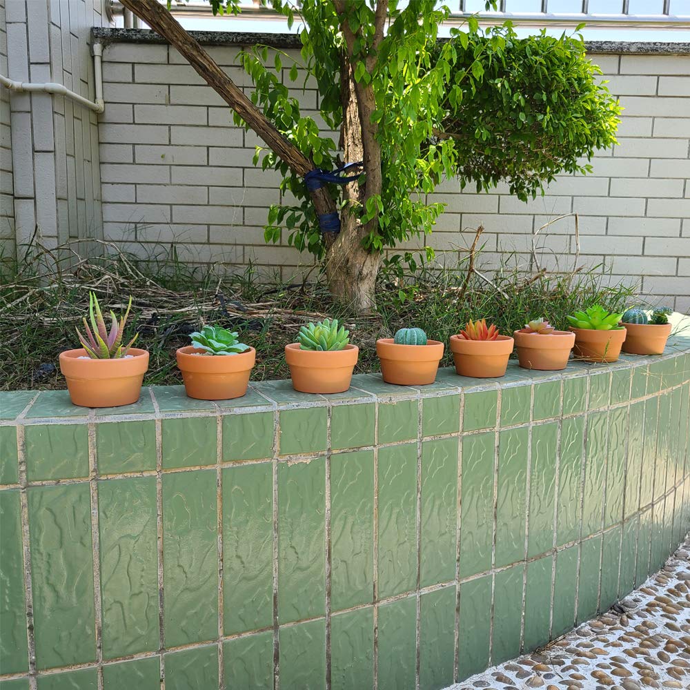 Yishang terracotta pot DIY crafts display suitable for centerpieces.