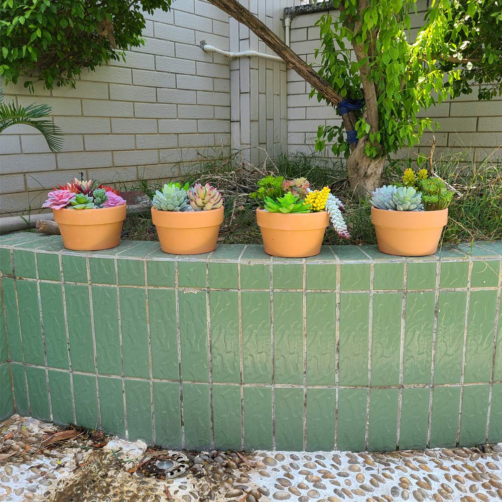 Yishang 6-pack terracotta planters organize herbs and small succulents.