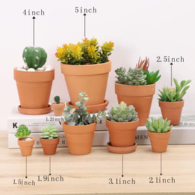 Yishang 2.5-inch nursery pots for cactus, herbs, and tiny plants.