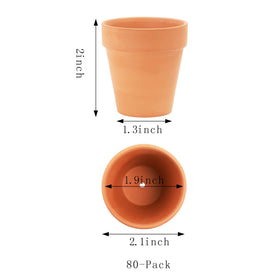 Yishang propagation mini pot supports root growth in well-draining soil