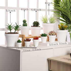 Yishang 36-pack mini white clay pots for herbs and crafts.