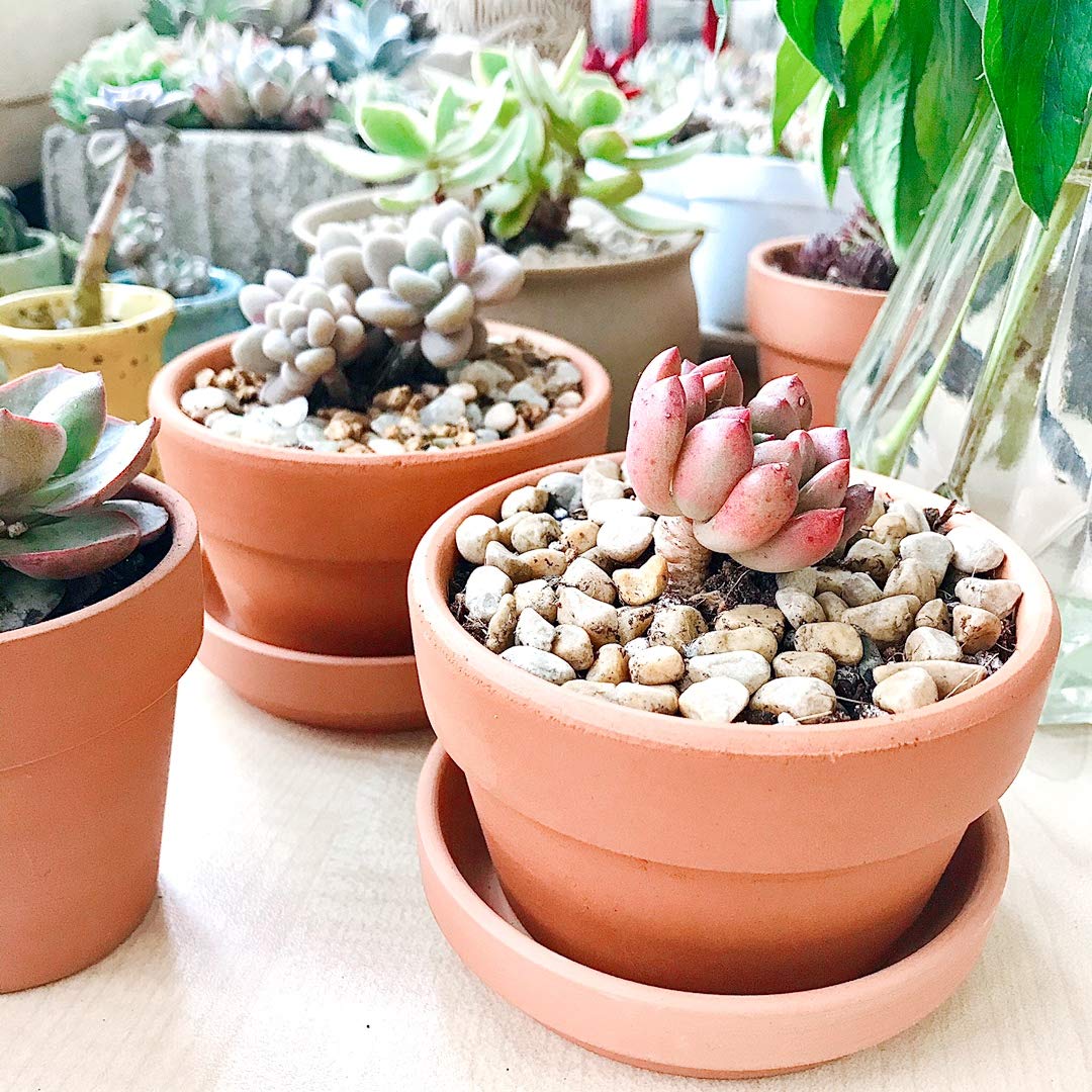 Yishang guidance for well-drained soil in terracotta pots