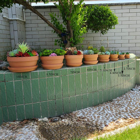 Yishang pot dimensions show compact size for herbs