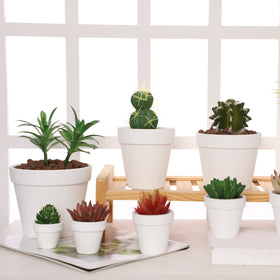 Yishang white terracotta pot perfect for succulents and herbs.