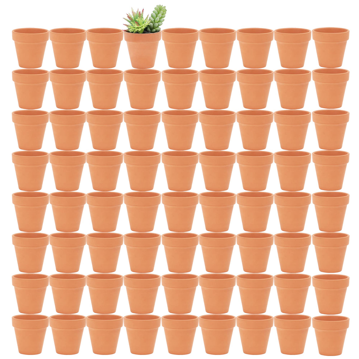 Yishang 2.5-inch terracotta pot with drainage hole for healthy seedlings.