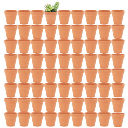 Yishang 2.5-inch terracotta pot with drainage hole for healthy seedlings.