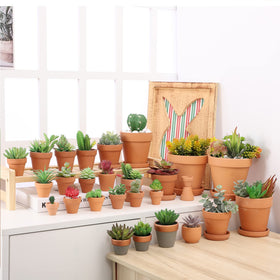 Yishang Terra Cotta Saucer on windowsill adds natural decor and airflow.