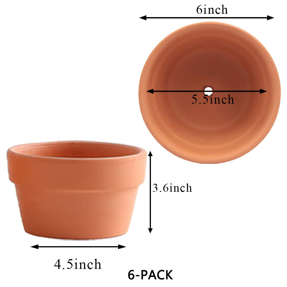 Yishang terracotta pot drainage hole supports proper water management for succulents.