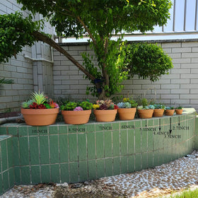 Yishang terracotta planter makes a thoughtful housewarming gift for plant lovers.