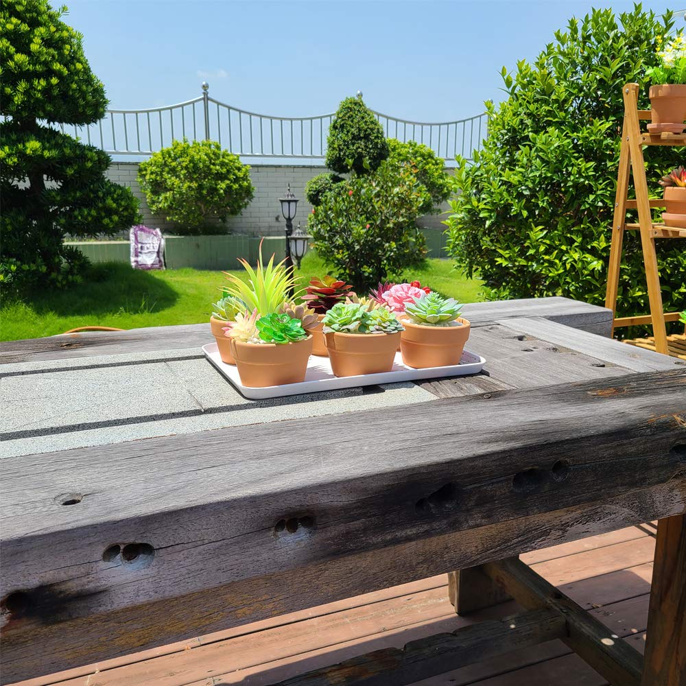 Yishang propagation seedling container helps seed starters root gently in breathable terracotta.