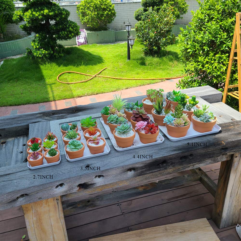 Yishang unglazed clay pot blends with any decor and enhances natural plant appeal.