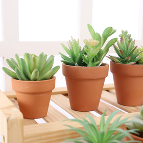 Yishang terracotta pot for wedding favors and party crafts