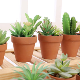 Yishang miniature terracotta pots ideal for weddings and events.