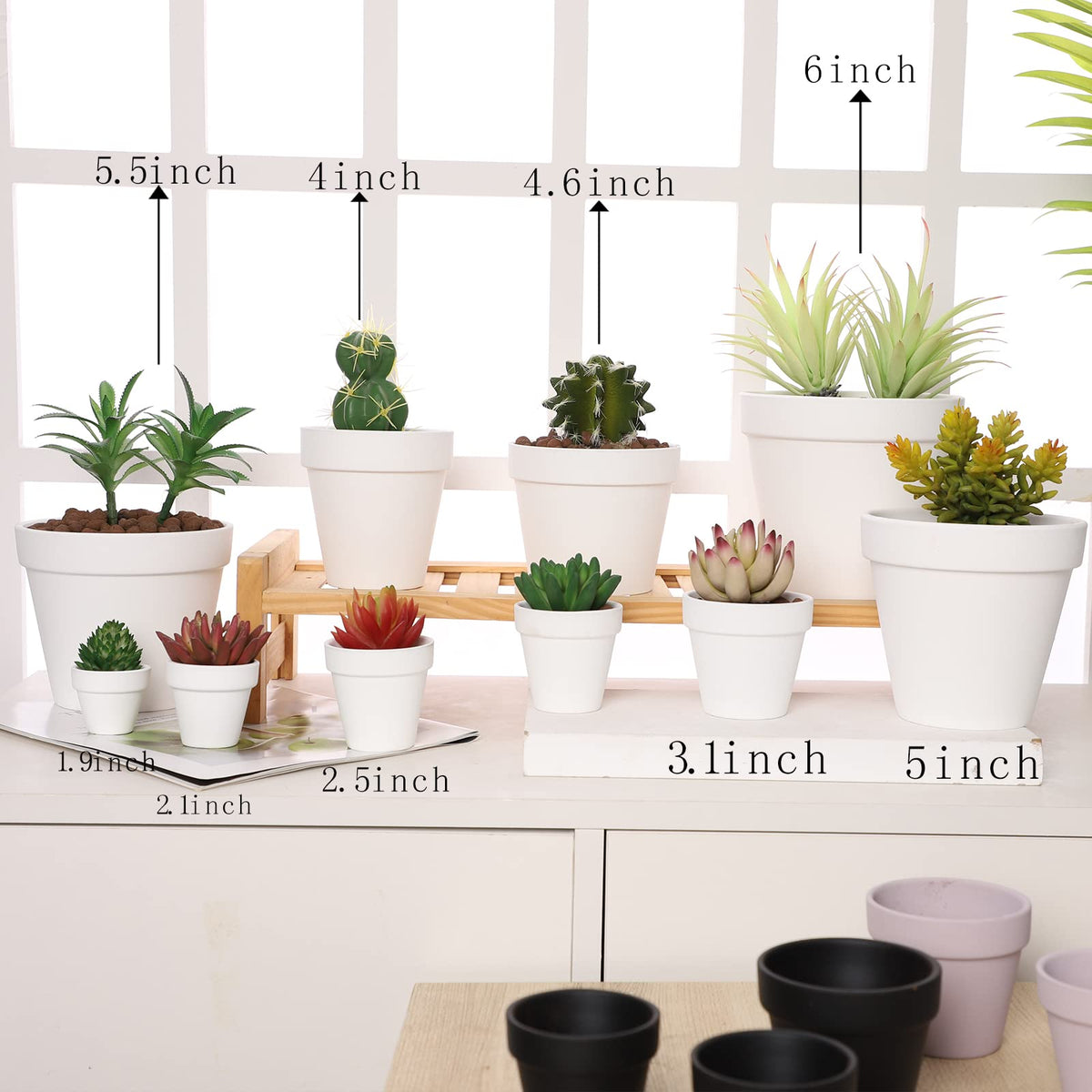 Yishang window-sill display pot for compact plants.