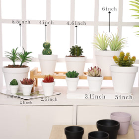 Yishang window-sill display pot for compact plants.