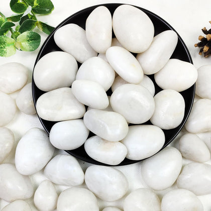 YISZM 20lb white river rocks for plant displays and terrariums.