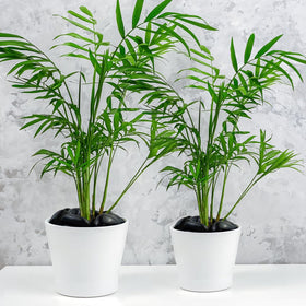YISZM pebbles as garden decor enhancing outdoor spaces