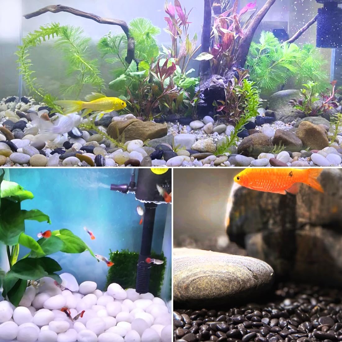 YISZM black pebbles are natural and non-toxic decorative stones