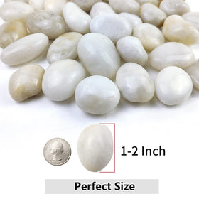 YISZM one-to-two-inch stones improve drainage in pots.
