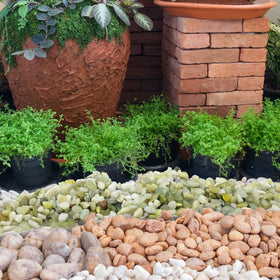 YISZM river rocks for outdoor gardens, walkways and rooftop setups.