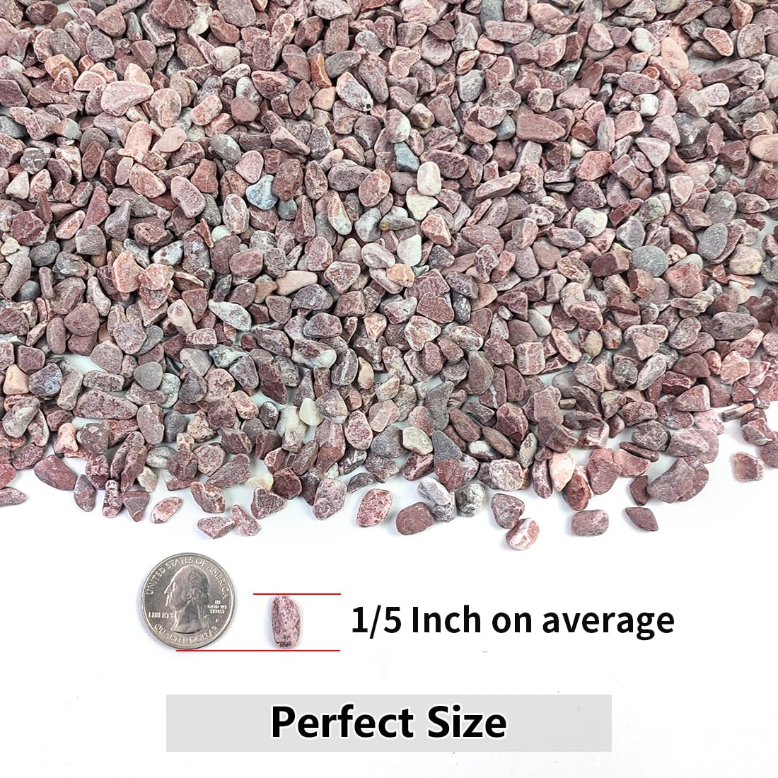YISZM succulent gravel shows vibrant color when wet for displays