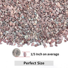 YISZM succulent gravel shows vibrant color when wet for displays