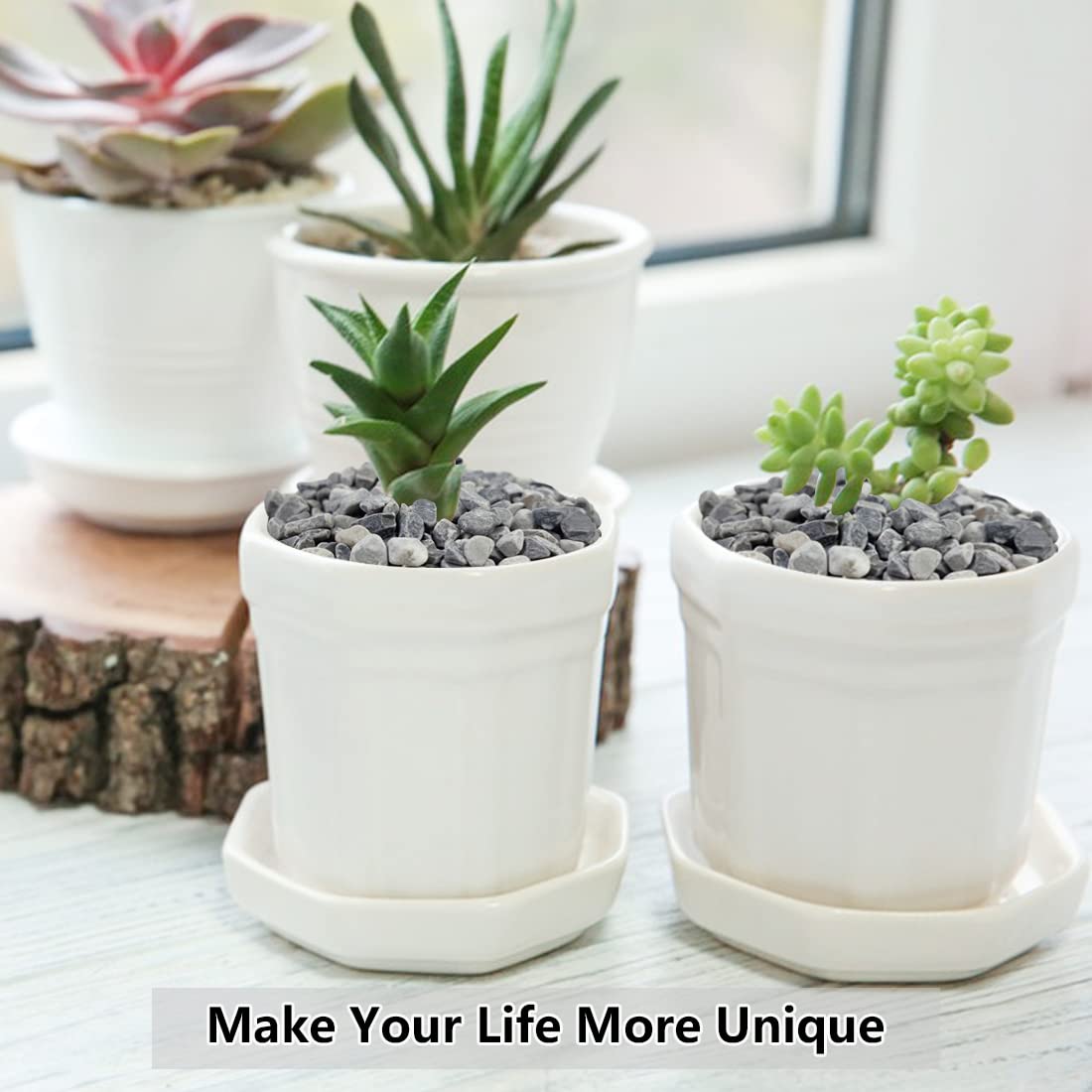 YISZM terrarium and aquarium accents with neutral grey tone.