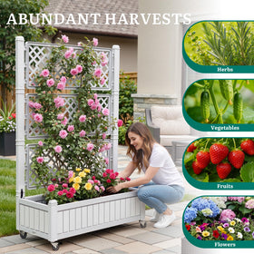 YITAHOME trellis planter with privacy screen suitable for garden corners