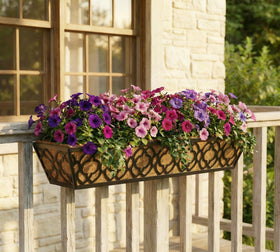 Y&M outdoor-ready planter setup tolerates sun and rain for continuous growth