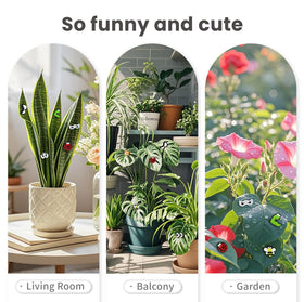 Ideal gift for plant lovers and home decor enthusiasts