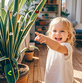 Office plant decor ideas with Yncotte magnets