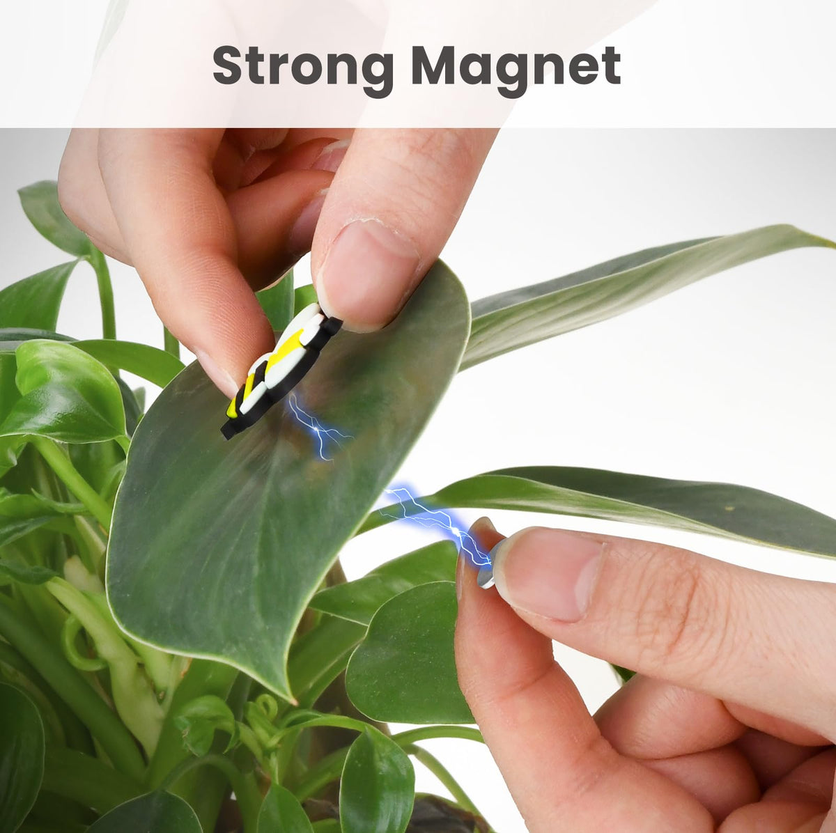 Sun resistant waterproof magnets for outdoor plant decor