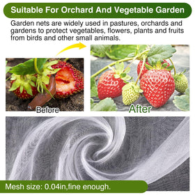 YNERHAI cabbage tomato cauliflower cover shields crops outdoors
